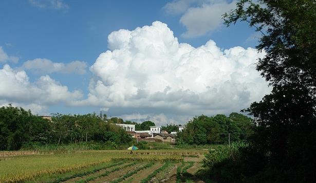 良垌镇丰背村轶事 百年古村的景象