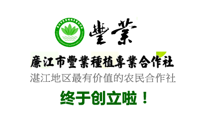 廉江市工商局批准豐業種植專業合作社成立