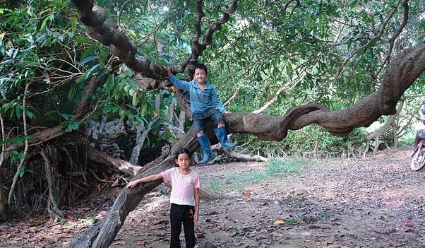 良垌镇丰背村轶事 百年古村的景象