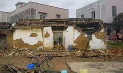 台风“彩虹”导致良垌一片狼藉,水果损20多万亩