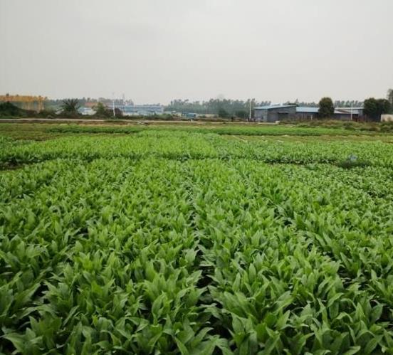 广州多措施推进节水 提高人均本地水资源量