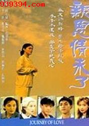 亲恩情未了[1994]