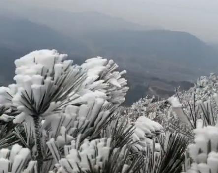 广东人的愿望终于实现了，2021年伊始广州深圳清远茂名等多地落雪