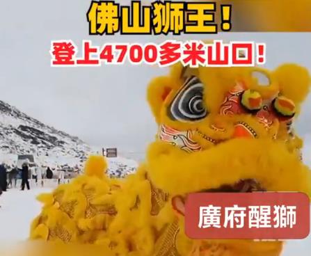 广府醒狮敢为人先，佛山世界狮王在西藏4700米海拔雪山上舞狮