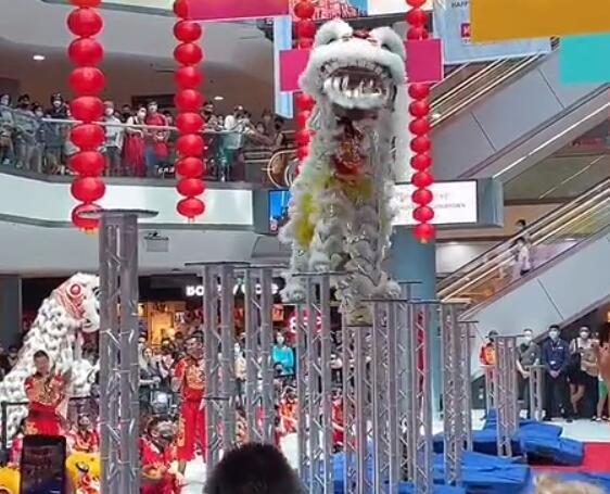 澳大利亚各地醒狮贺虎年，华夏广府文化全球开花