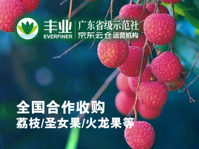 廉江市丰业种植专业合作社