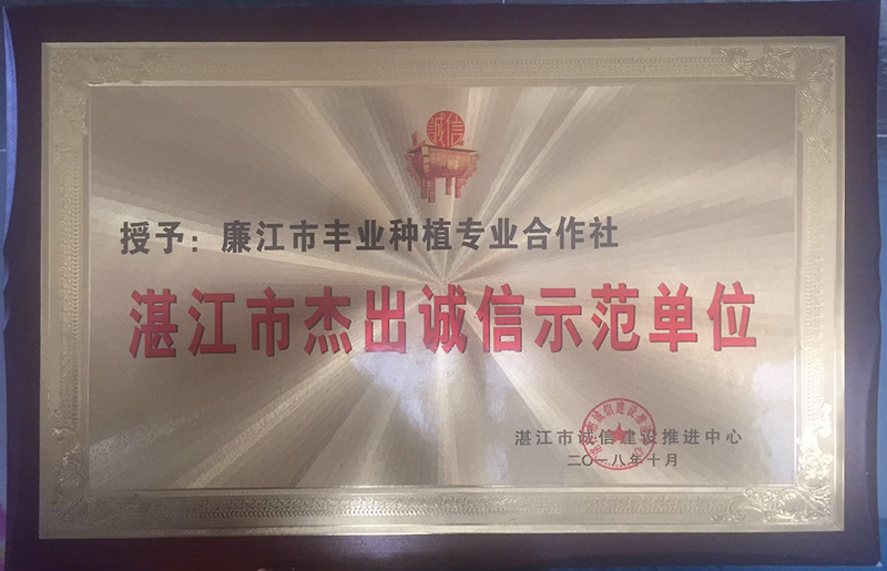 杰出诚信单位2.jpg