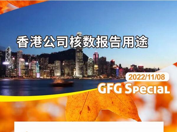 香港公司核数报告的用途