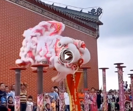 南沙区东涌镇大同村春秋龙狮团：广府女子醒狮（微信公众号）