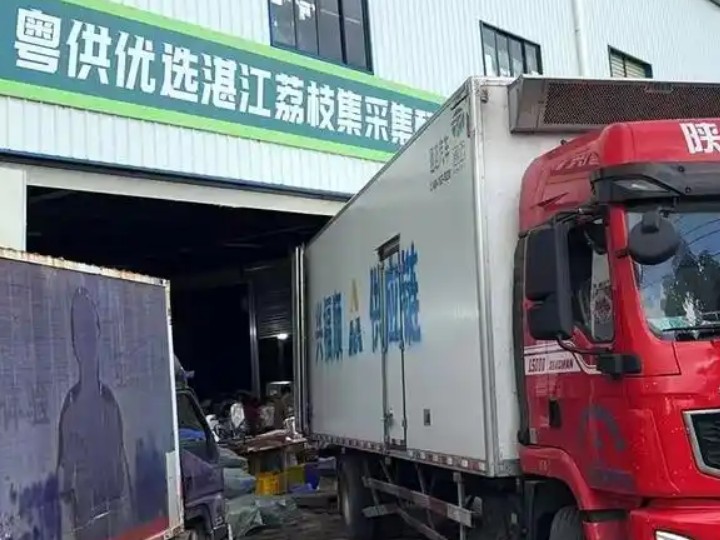 南方日报2025/07/15报道丰业合作社：40天荔枝出货3500吨