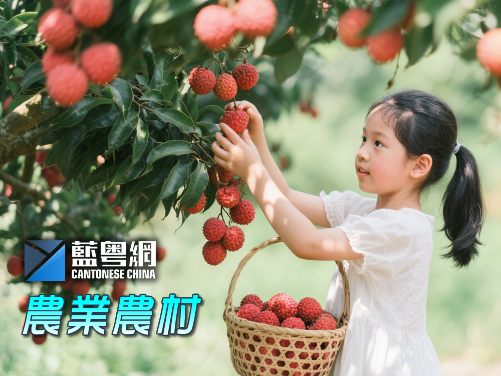 蓝粤网农业农村